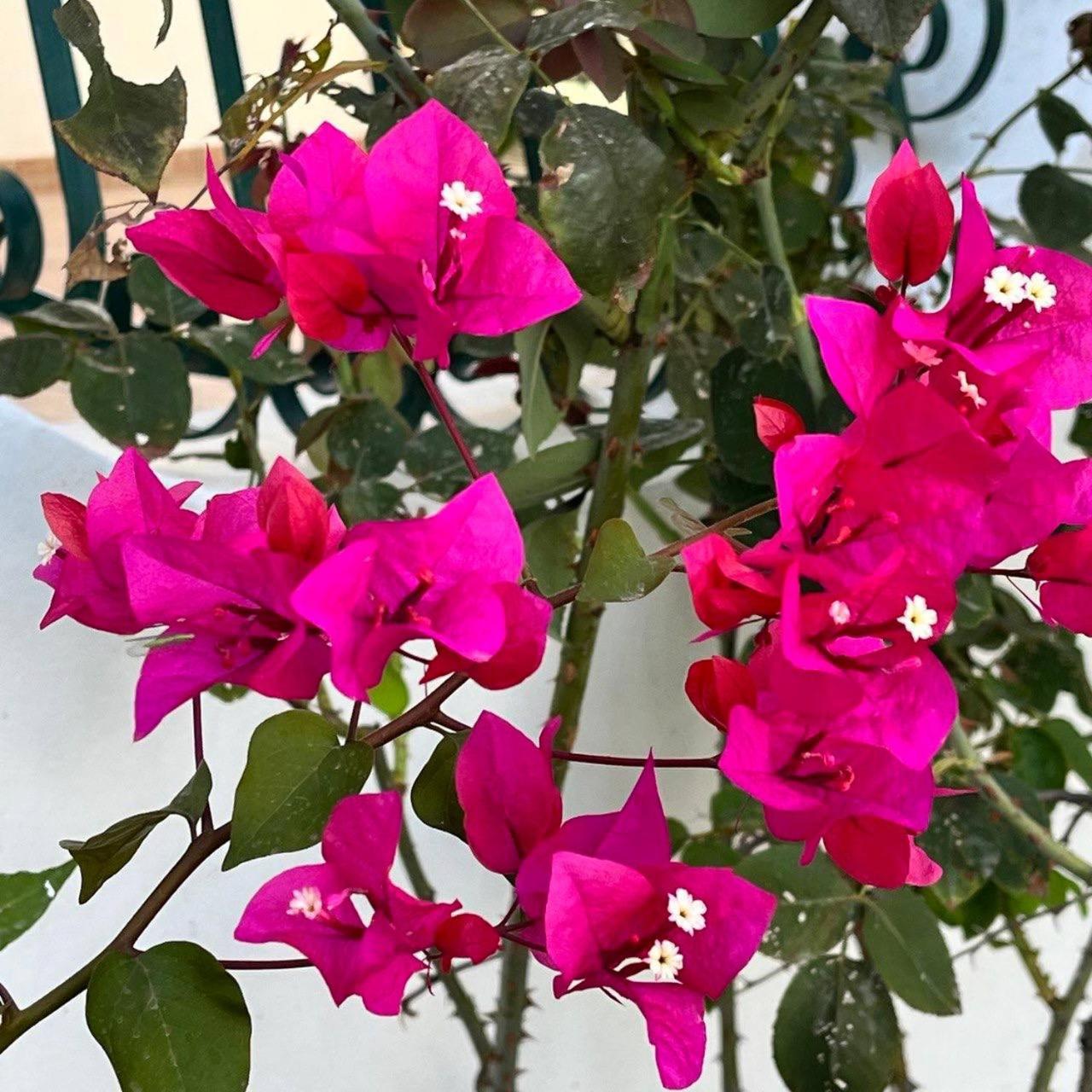 Relax Natura Agrigento Zewnętrze zdjęcie